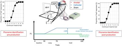 Modulation of Speech Motor Learning with Transcranial Direct Current Stimulation of the Inferior Parietal Lobe